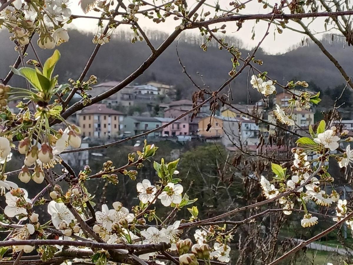 Casa Vacanze "Ellen" Bianchi المظهر الخارجي الصورة